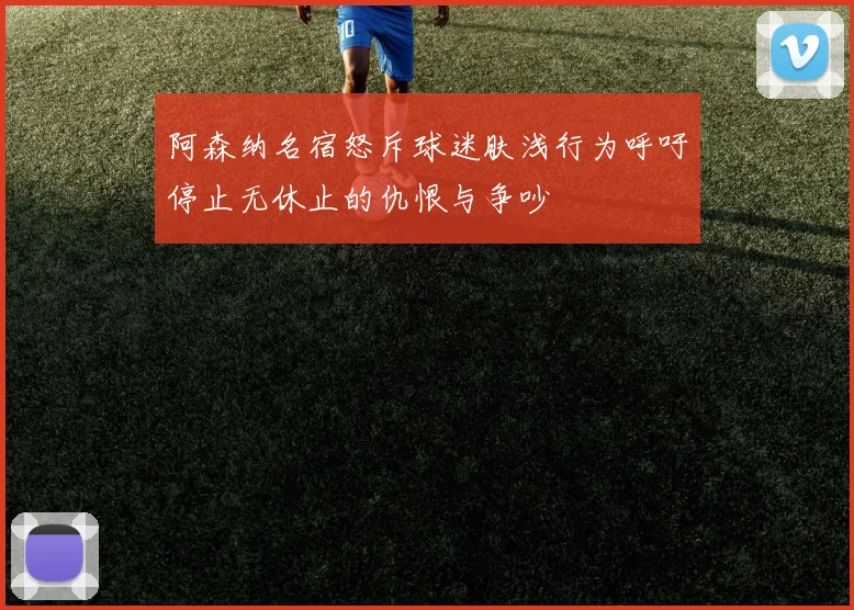 阿森纳名宿怒斥球迷肤浅行为呼吁停止无休止的仇恨与争吵